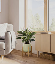 Load image into Gallery viewer, Turquoise stand:bamboo

