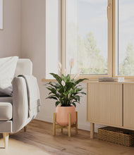 Load image into Gallery viewer, Calm Rose stand:light

