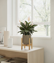 Load image into Gallery viewer, Olive stand:bamboo
