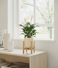 Load image into Gallery viewer, Almond Green stand:light
