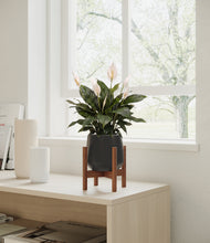 Load image into Gallery viewer, Black stand:walnut
