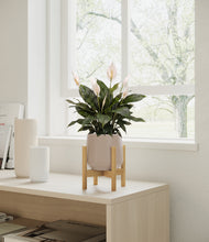 Load image into Gallery viewer, Eternal Gray stand:bamboo

