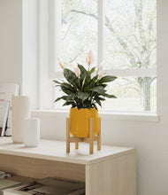 Load image into Gallery viewer, Mustard stand:bamboo

