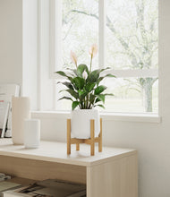 Load image into Gallery viewer, White stand:light
