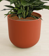 Load image into Gallery viewer, Earth Red stand:all
