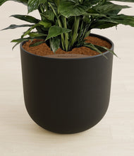 Load image into Gallery viewer, Stone Black stand:all
