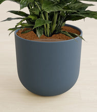Load image into Gallery viewer, Iron Gray stand:all
