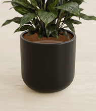 Load image into Gallery viewer, Stone Black stand:all
