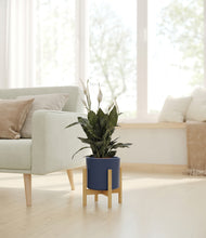 Load image into Gallery viewer, Deep Navy stand:bamboo
