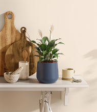 Load image into Gallery viewer, Deep Navy
