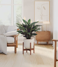 Load image into Gallery viewer, Natural Bamboo stand:walnut
