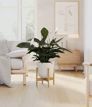 Load image into Gallery viewer, Natural Bamboo stand:bamboo
