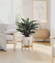 Load image into Gallery viewer, Natural Bamboo stand:bamboo
