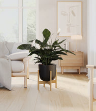 Load image into Gallery viewer, Stone Black stand:bamboo
