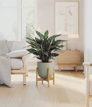 Load image into Gallery viewer, Sage Green stand:bamboo
