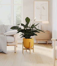 Load image into Gallery viewer, Sunset Orange stand:bamboo
