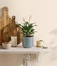 Load image into Gallery viewer, Misty Blue
