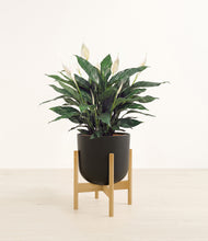 Load image into Gallery viewer, Stone Black stand:bamboo
