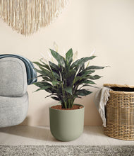 Load image into Gallery viewer, Sage Green stand:all
