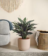 Load image into Gallery viewer, Sandy Pink stand:all
