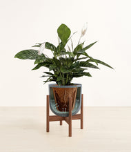 Load image into Gallery viewer, Iron Gray stand:all
