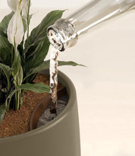 Load image into Gallery viewer, Olive stand:all
