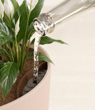 Load image into Gallery viewer, Sandy Pink stand:all
