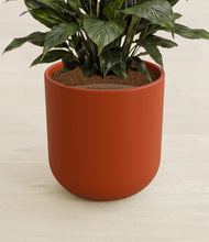 Load image into Gallery viewer, Earth Red stand:all
