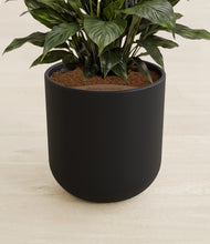 Load image into Gallery viewer, Stone Black stand:all
