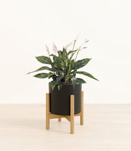 Load image into Gallery viewer, Black stand:bamboo
