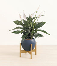Load image into Gallery viewer, Deep Navy stand:bamboo
