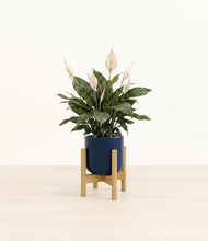 Load image into Gallery viewer, Twilight Blue stand:bamboo
