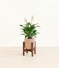 Load image into Gallery viewer, Glossy Pink stand:dark
