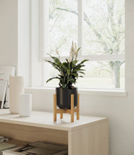 Load image into Gallery viewer, Stone Black stand:all
