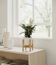 Load image into Gallery viewer, Cotton White stand:walnut
