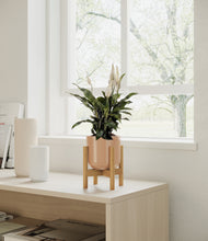 Load image into Gallery viewer, Glossy Pink stand:all
