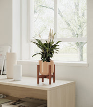 Load image into Gallery viewer, Glossy Pink stand:walnut
