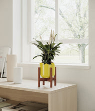 Load image into Gallery viewer, Key Lime Yellow stand:walnut
