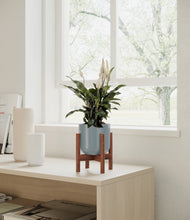 Load image into Gallery viewer, Misty Blue stand:walnut
