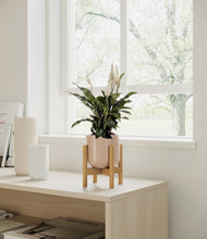 Load image into Gallery viewer, Sandy Pink stand:all
