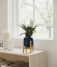 Load image into Gallery viewer, Twilight Blue stand:all
