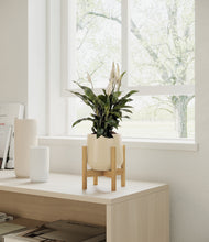 Load image into Gallery viewer, Almond Green stand:bamboo
