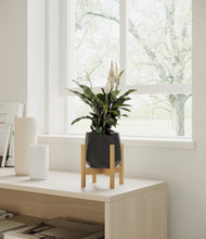 Load image into Gallery viewer, Black stand:bamboo
