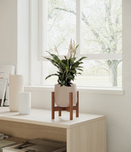 Load image into Gallery viewer, Eternal Gray stand:walnut
