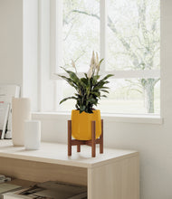 Load image into Gallery viewer, Mustard stand:walnut
