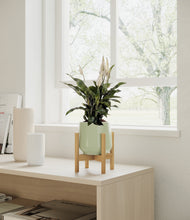 Load image into Gallery viewer, Turquoise stand:bamboo
