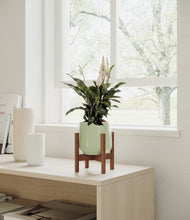 Load image into Gallery viewer, Turquoise stand:walnut
