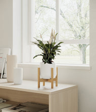 Load image into Gallery viewer, White stand:bamboo
