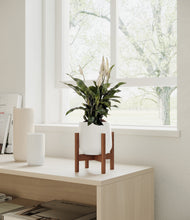 Load image into Gallery viewer, White stand:walnut
