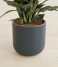 Load image into Gallery viewer, Iron Gray stand:all

